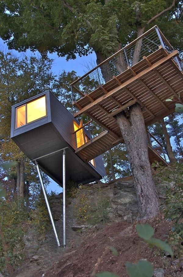 best 20+ tree house designs ideas on pinterest | beautiful tree best 20+ tree house designs ideas on pinterest | beautiful tree