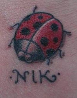 25 beautiful ladybug tattoos ideas on pinterest tatoo ideas for 25 beautiful ladybug tattoos ideas on pinterest tatoo ideas for