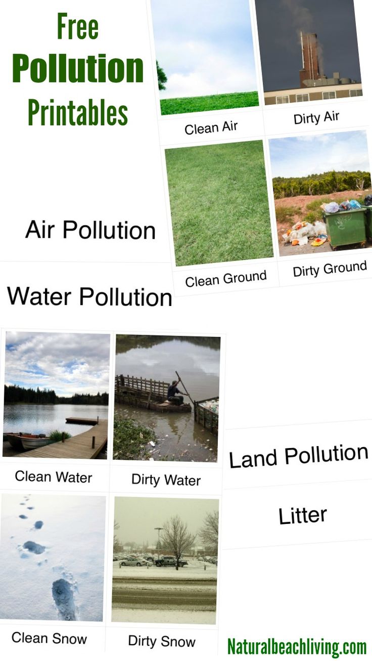pollution air water and land essay for grade 6 A lesson on the causes of pollution subject: tracey l churchman, lake charles, louisiana grade level: k displayed pictures of water, air, and land pollution. pollution air water and land essay for grade 6 A lesson on the causes of pollution subject: tracey l churchman, lake charles, louisiana grade level: k displayed pictures of water, air, and land pollution.