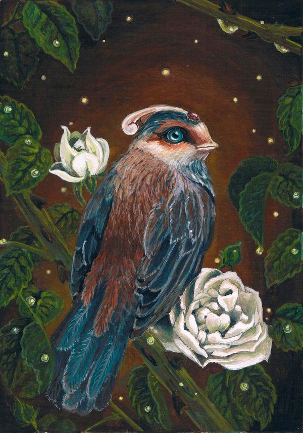 the nightingale and the rose the nightingale and the rose