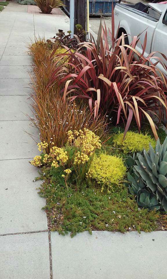 127 best low water garden design images on pinterest | landscaping 127 best low water garden design images on pinterest | landscaping