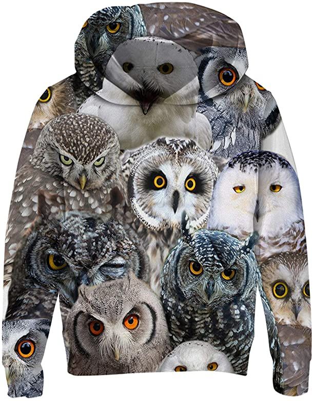 AIDEAONE Boys Girls Fleece Hoodies 3D Print Plush Pullover Hoodie Casual Hooded Sweatshirts with Pocket for Age 5-13 Kids AIDEAONE Boys Girls Fleece Hoodies 3D Print Plush Pullover Hoodie Casual Hooded Sweatshirts with Pocket for Age 5-13 Kids