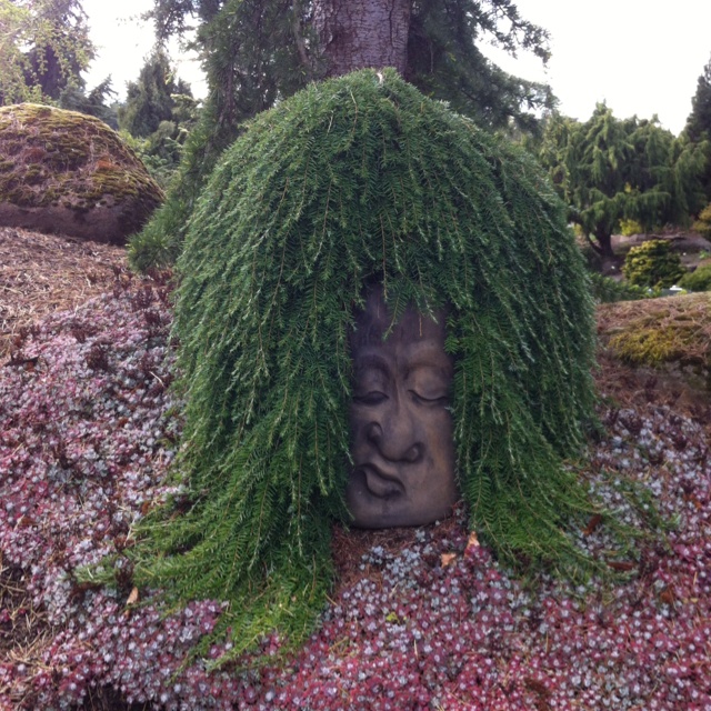 Garden Design Oregon 152 best conifer garden images on pinterest | landscaping ideas Garden Design Oregon 152 best conifer garden images on pinterest | landscaping ideas