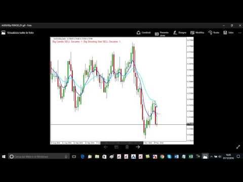 Professione forex premium