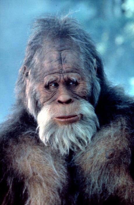 harry und die hendersons harry und die hendersons