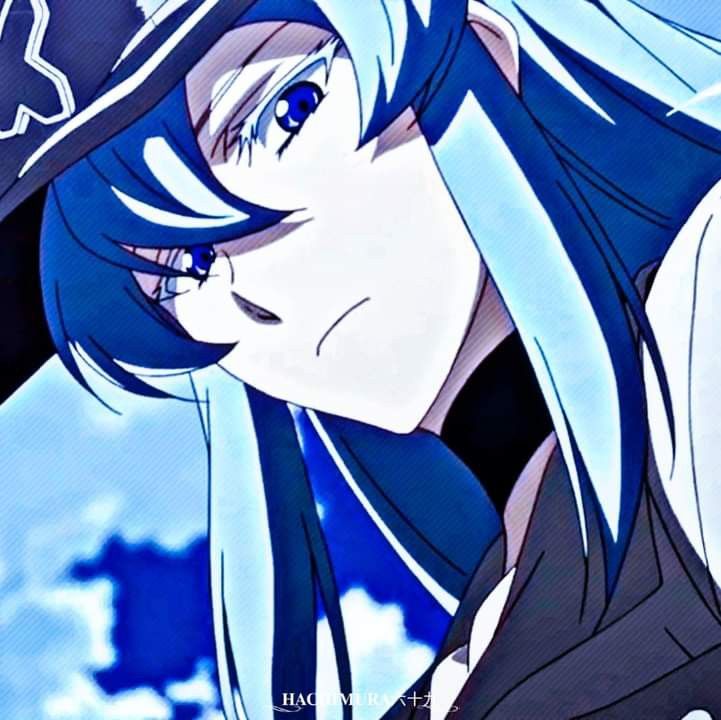 Pin by Justin Yahoudy on akame ga kill esdeath | Female anime, Kawaii