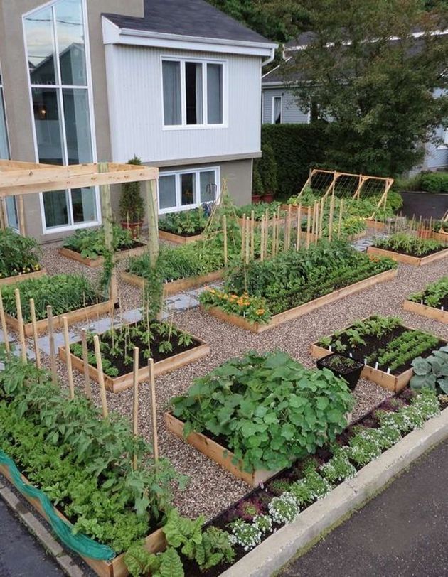 Die besten 25+ Gemüsegarten Layouts Ideen auf Pinterest Anbau - garten gestalten vorher nachher Die besten 25+ Gemüsegarten Layouts Ideen auf Pinterest Anbau - garten gestalten vorher nachher
