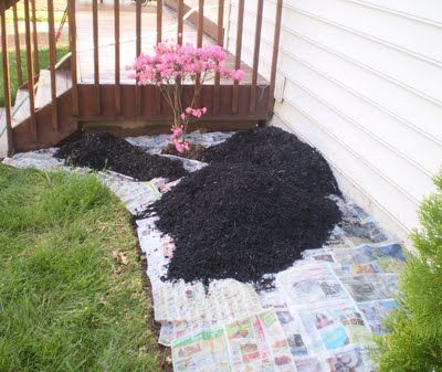 Newspaper Used In Full Sheets Is A Good Weed Blocker Use Newspaper Used In Full Sheets Is A Good Weed Blocker Use Thickness Of Two To Four Whether Using It Shredded Or Whole Usu Mulch