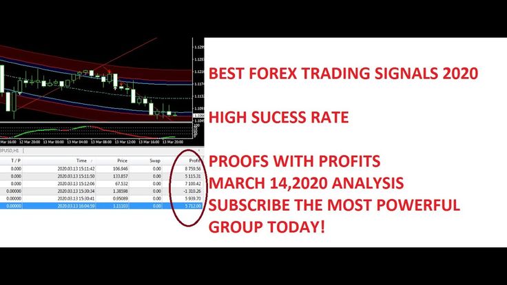 How to make 20 pips a day trading forex