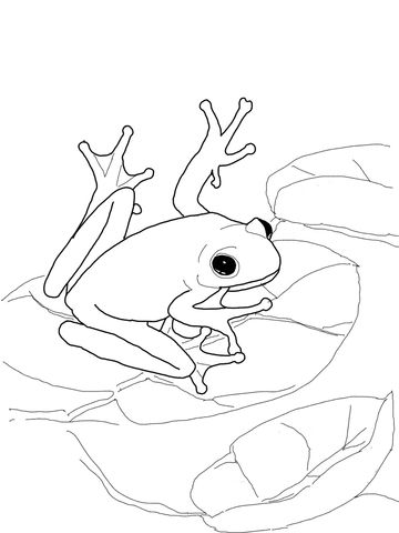 2692 best Vinyl images on Pinterest Silhouettes, Horse silhouette - fresh coloring pages tree frog 2692 best Vinyl images on Pinterest Silhouettes, Horse silhouette - fresh coloring pages tree frog
