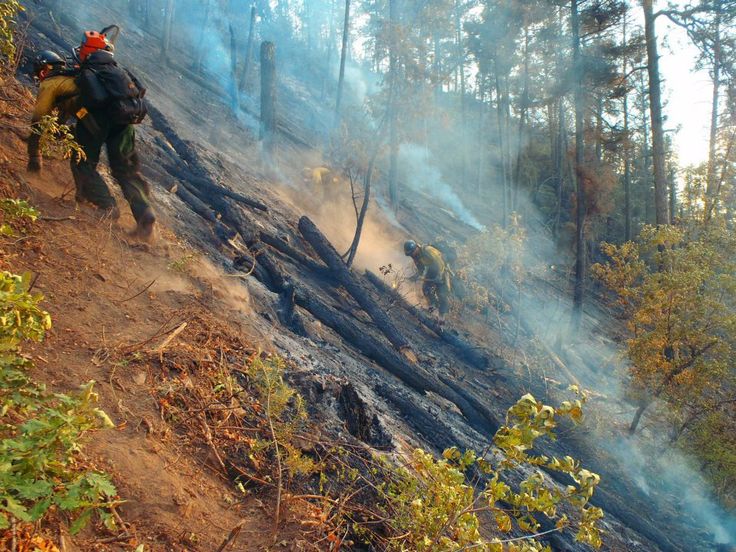 what makes a firefighter What it takes to volunteer being a volunteer firefighter is not about what you look like, what degree you have, or where you come from. what makes a firefighter What it takes to volunteer being a volunteer firefighter is not about what you look like, what degree you have, or where you come from.