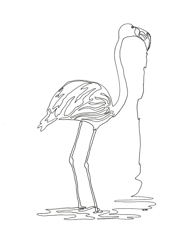 Continuous Line Drawing Of Animals : Best line drawing images on pinterest drawings