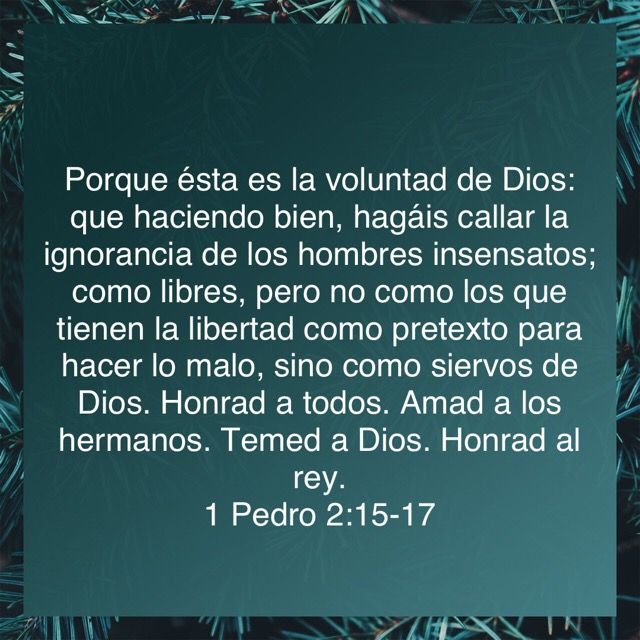 Pin By Bolivar Ivann Tamayo Rodriguez On Dios Bible