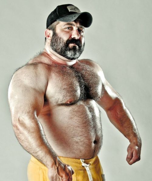 Bear chub cub daddybear gay musclebear photo picture profile