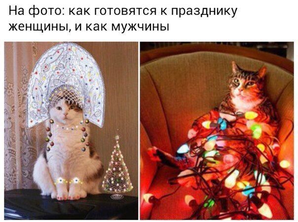 Размечтался! Новогодние ожидания и реальность