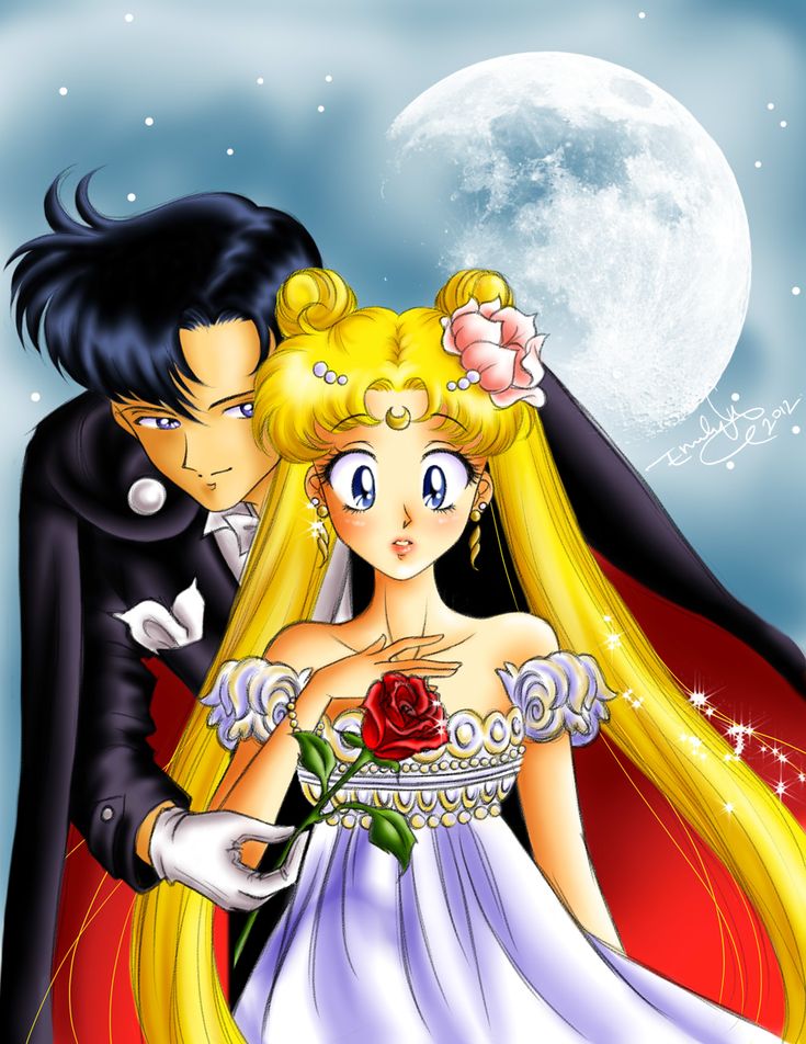 e67d9505e459779ca8b2eb5d454c7e4c--sailor-princess-tuxedo-mask.jpg