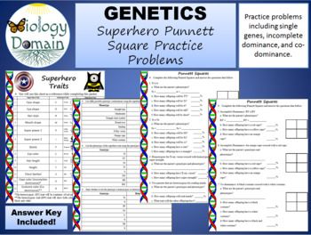 Genetics Superhero Punnett Square Practice Problems Genetics