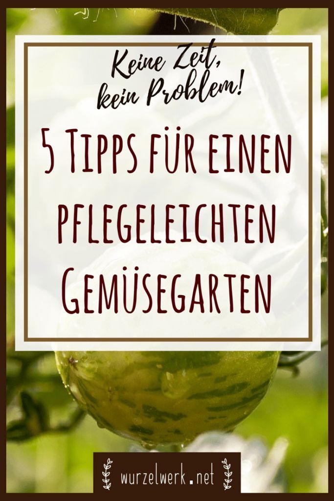 Keine Zeit fürs Gärtnern? Kein Problem! Hier sind unsere Tipps für einen pfle...