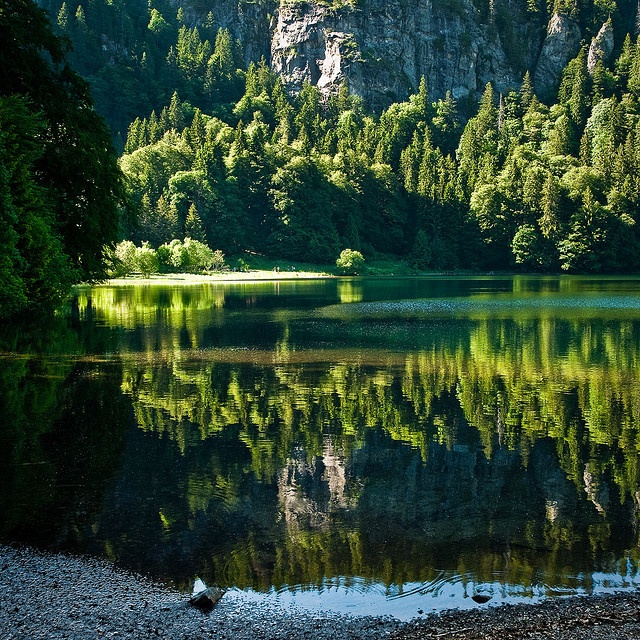 Italienerin Miniarsch Wald Onanieren