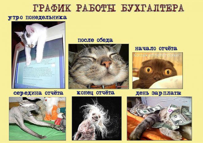 Открытка, картинка бухгалтерии прикольные