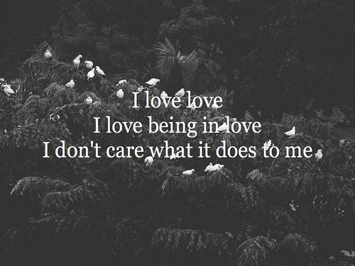 32 best love for the format images on pinterest baby cats bezel the format dog problems songs