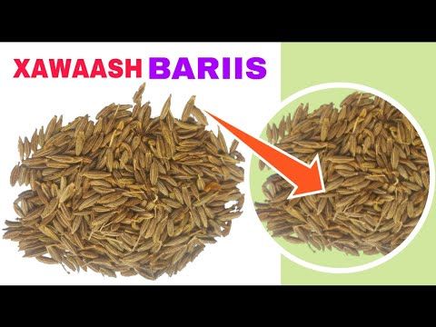 Waxtarka Xawaash Dhaadheerka Khamuunta Sactarka Youtube