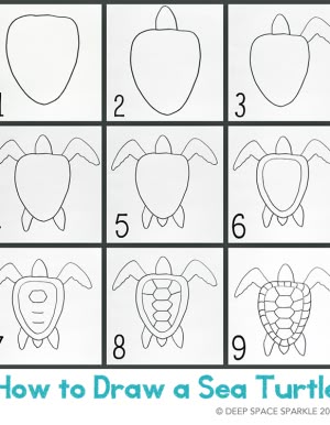 how to draw a sea turtle handout classroom pinterest art