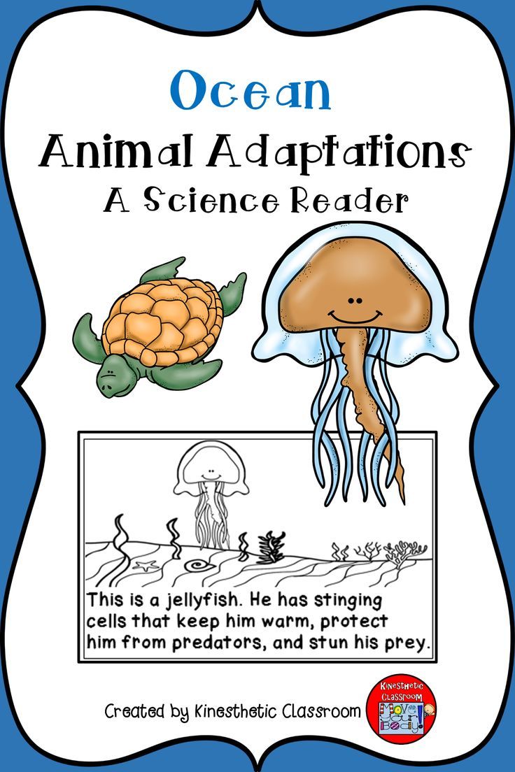 Ocean Animal Adaptations Science Reader Distance Learning Google