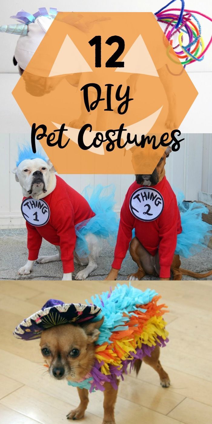 12 Diy Pet Costumes Dog Gifts For People Pet Halloween