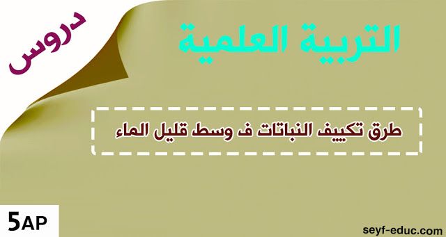 تقويمات الفصل الأول السنة الأولى ابتدائي الجيل الثاني Education Words Word Search Puzzle