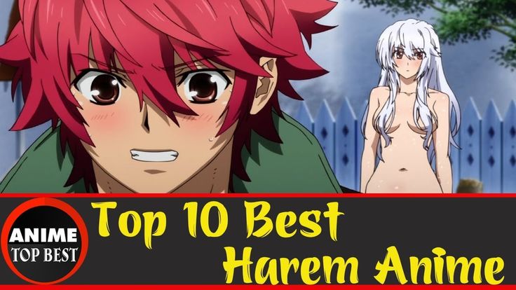 Best anime harem romance