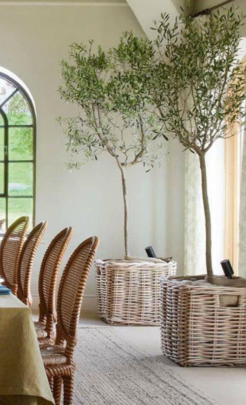 indoor tree planter melbourne captura de pantalla 20140515 las 120023 baskets in 2018 pinterest home decor and house indoor tree planter melbourne captura de pantalla 20140515 las 120023 baskets in 2018 pinterest home decor and house