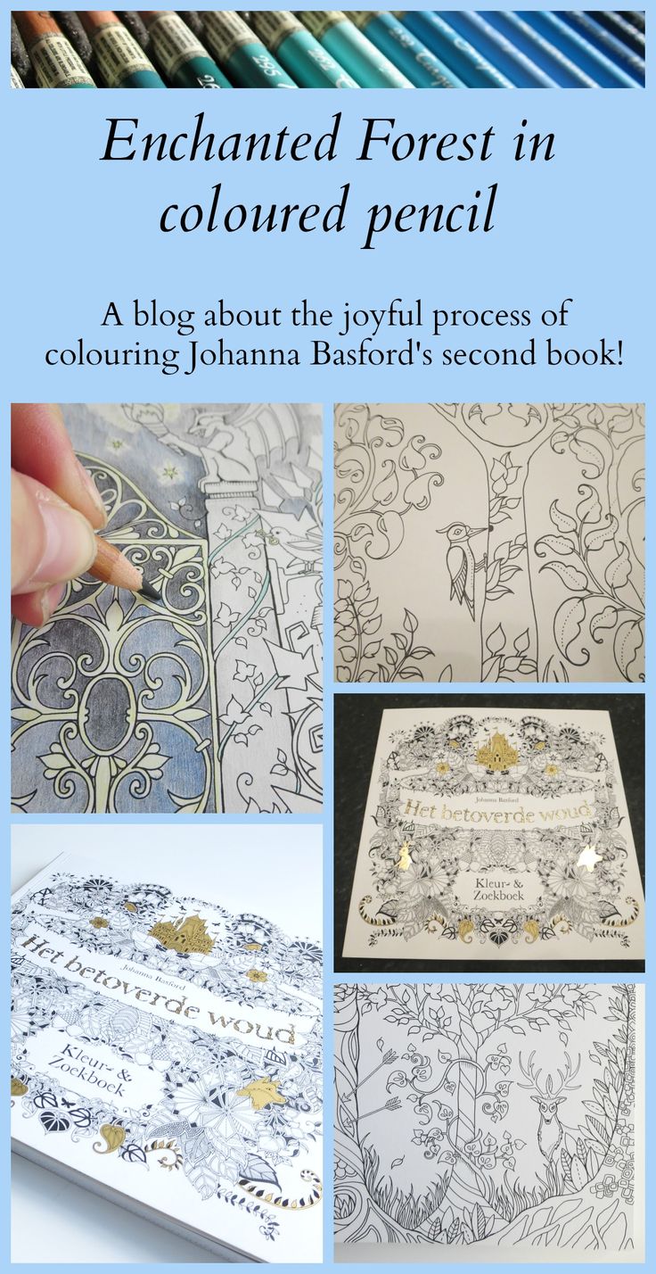 Johanna Basfords Enchanted Forest I Started Colouring In The Book