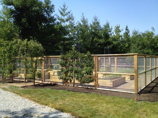 Garden Ideas To Keep Animals Out 54 best animal-proof garden fencing images on pinterest | garden Garden Ideas To Keep Animals Out 54 best animal-proof garden fencing images on pinterest | garden