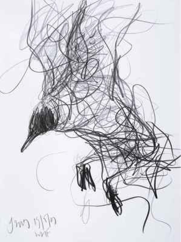Scribble Gesture Drawing : Best blind contour basic lines images on pinterest