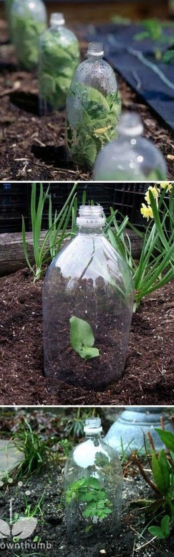 best 25+ creative garden ideas ideas on pinterest | garden ideas best 25+ creative garden ideas ideas on pinterest | garden ideas