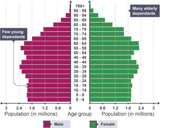 Population pyramid showing UK distribution in 2025 | Geography revision