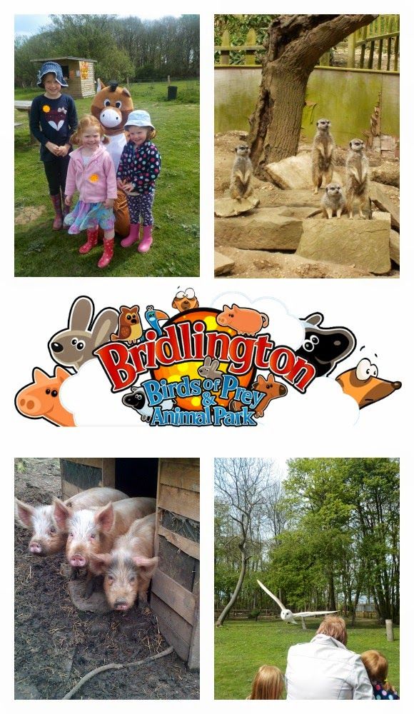 Days Out With Kids Yorkshire Days Out With Kids Yorkshire