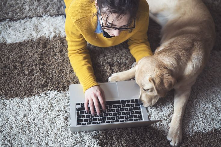 Want to Work From Home but Don’t Know Where to Start? Try These Companies – Job info Want to Work From Home but Don’t Know Where to Start? Try These Companies – Job info