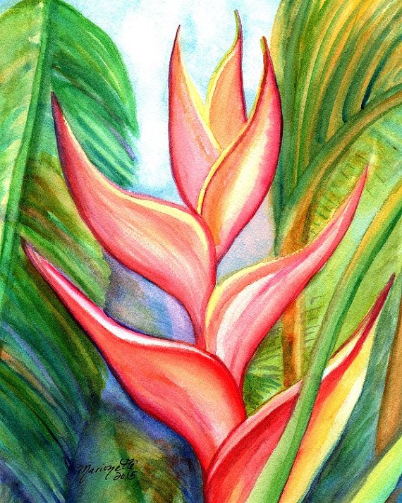Exotic Flower Art Paintings Exotic Flower Art Paintings