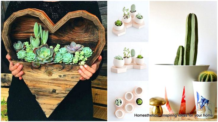 Present in many forms, colors and sizes the world`s collection of cactus indoors is astonishingly beautiful, diverse and interesting, they`re a statement. Whether you are into succulents, colorful cacti or weirdly lilthops, the following article is for you; it contains an interesting selection of splendid cacti in diy flower pots. The projectS are here asRead more