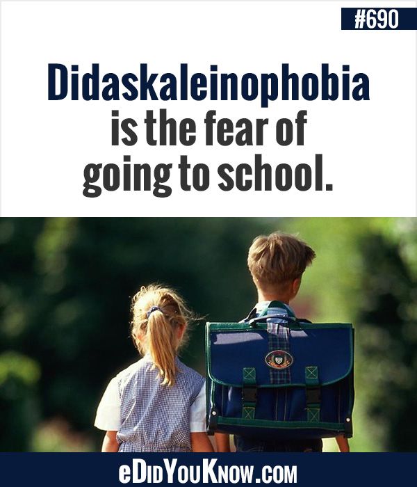 fears phobias opinion paper Phobias are distressing emotions here are the top 10 phobias of all time i know many people with tiny fears and maybe even small phobias that don’t. fears phobias opinion paper Phobias are distressing emotions here are the top 10 phobias of all time i know many people with tiny fears and maybe even small phobias that don’t.