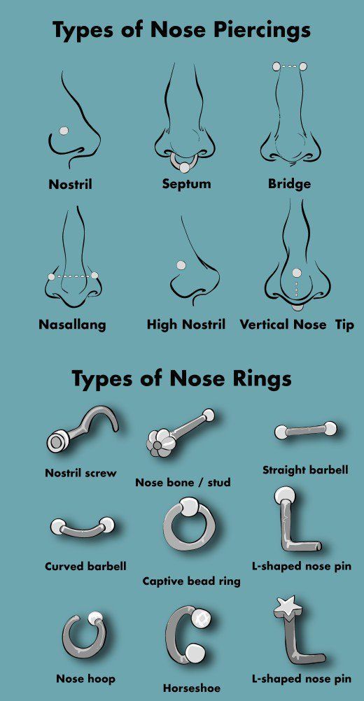 Types Of Nose Piercings Infographic Pinterest Types Of Nose Piercings Piercing Scar Ear Chart Cute