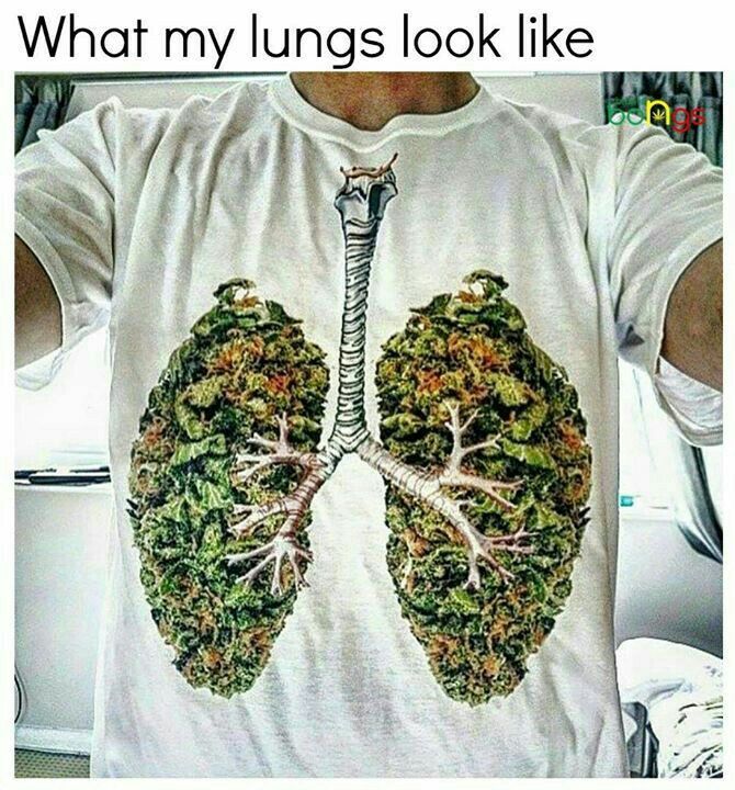 Can i smoke weed and take cialis