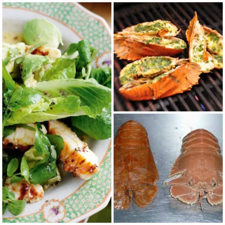 Food Network Chopped Wiki Food Network Chopped Wiki