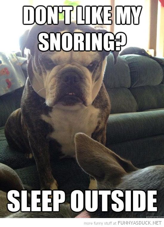 55 best sleep apnea thoughts images on pinterest funny animal e7c5002ddd1505c14e7505085bcb5701 funny but true haha funny 55 best sleep apnea thoughts images on pinterest funny animal