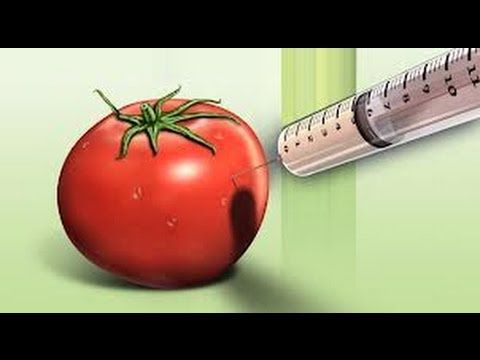 Is Gmo Farming Poisoning The World S Drinking Water Is Gmo Farming Poisoning The World S Drinking Water