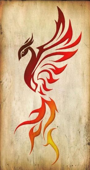 pheonix bird pictures