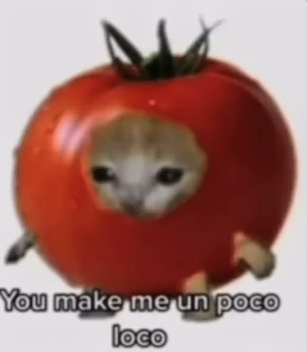 You Make Me Un Poco Loco Meme U make me un poco loco | Cat memes, Poco loco, Cats