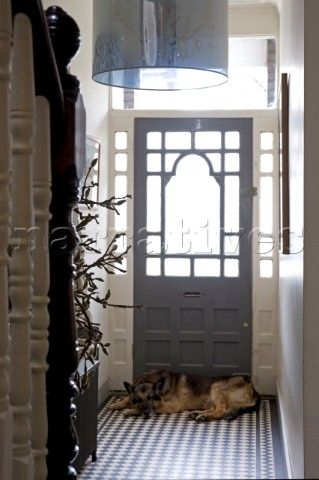 Bulldog Stained Glass Door Panel Designs Bulldog Stained Glass Door Panel Designs
